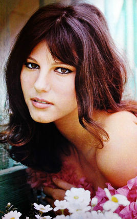 斯蒂芬尼娅·桑德雷莉