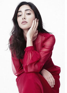 歌什菲·法拉哈尼