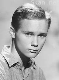 布兰登·德怀德