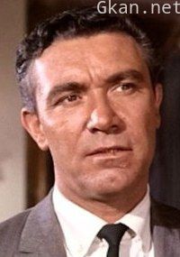 威廉姆·西尔维斯特