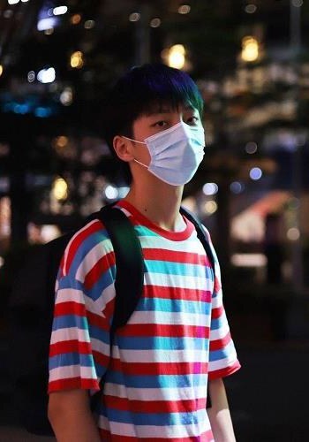 记录生活的蛋黄派