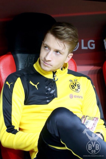 马尔科·罗伊斯