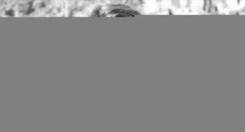 罗萨纳·迪罗科