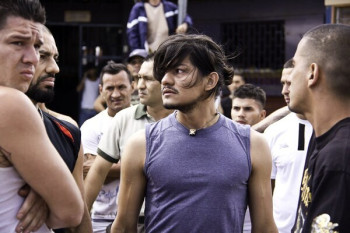 雷纳尔·戈麦兹