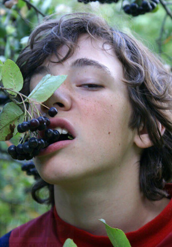 安瓦尔·哈里路拉耶夫