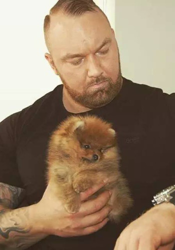 哈弗波·朱利尔斯·比昂森