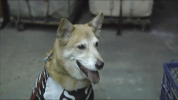 山普森·萨尔涅尔