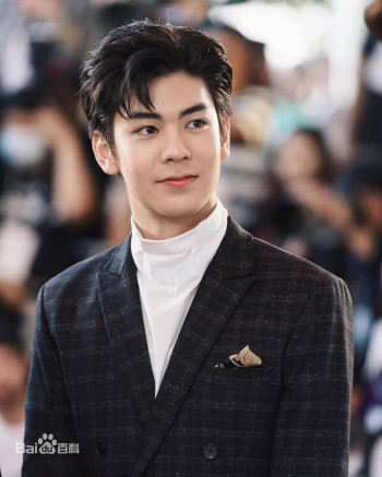 瓦西拉维奇·阿兰塔纳旺