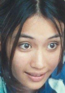 米歇尔·加布里埃尔