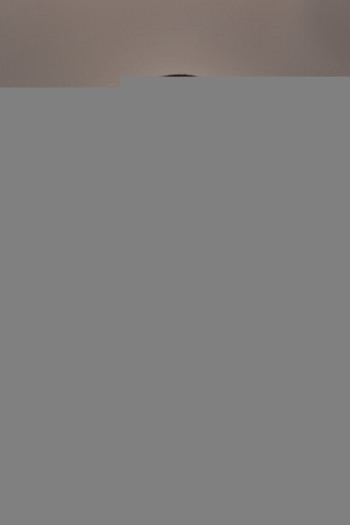 Oysel More Despaygne