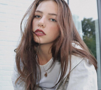 芬克·范德·斯汀