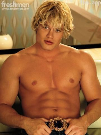 蒂姆·汉密尔顿