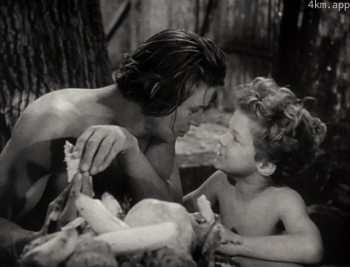 约翰尼·谢菲尔德