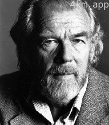 斯文·尼科维斯特