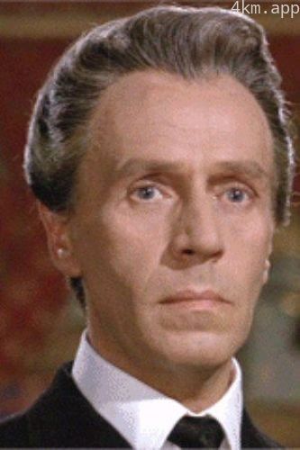 诺埃尔·威尔曼