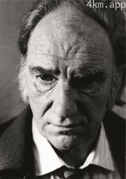 费尔南多·费尔南·戈麦斯