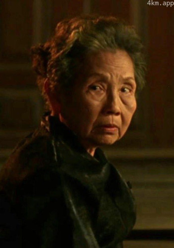 皮萨迈·帕克迪维吉特