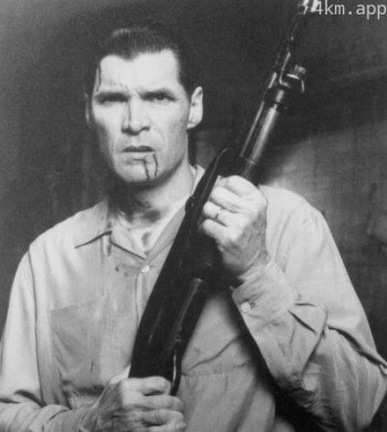 埃沃雷特·麦克吉尔