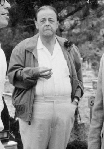 罗伊·布罗克斯史密斯