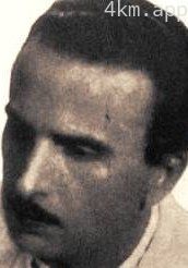 阿里卡尔多·维尼