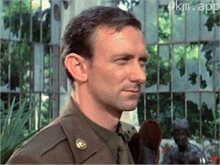 汤姆·西尼奥雷利