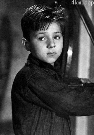 恩佐·斯泰奥拉