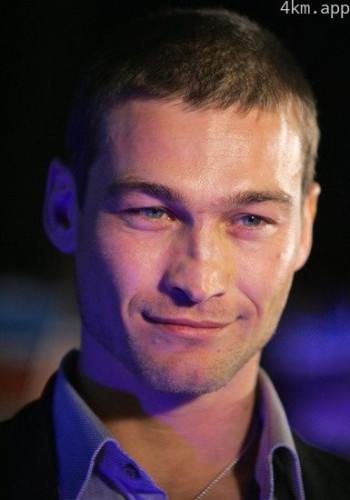 安迪·惠特菲尔德