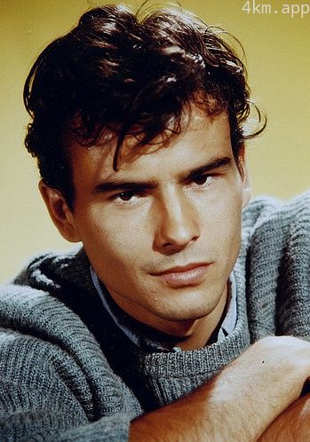 霍斯特·布赫霍尔茨