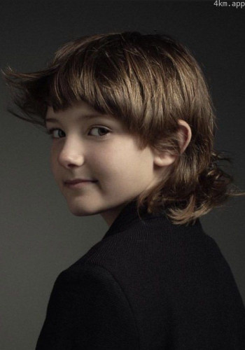 亨德里克斯·扬西