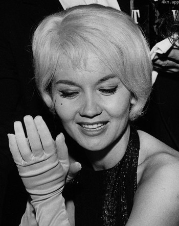 莉泽洛特·普尔韦尔