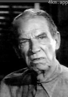 哈利·坦布鲁克