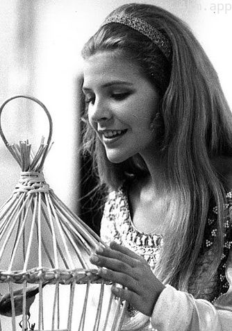 帕梅拉·韋路列斯