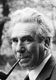 唐纳德·沃尔菲