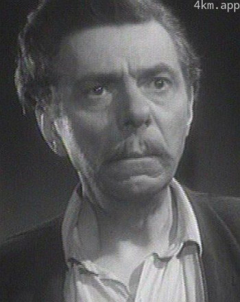 阿尔多·西尔瓦尼