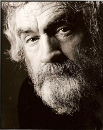 理查德·哈利迪