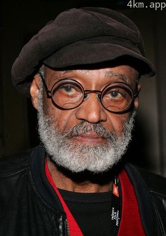 马文·范·皮伯斯