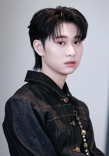 瓦拉提普·基迪派山