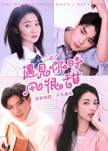 遇见你时风很甜