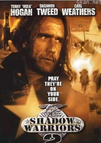 影子勇士2(普通话)