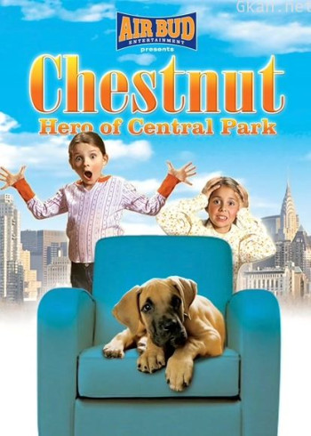 勇犬大栗：中央公园的英雄