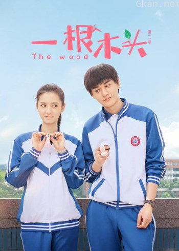 一根木头 第二季