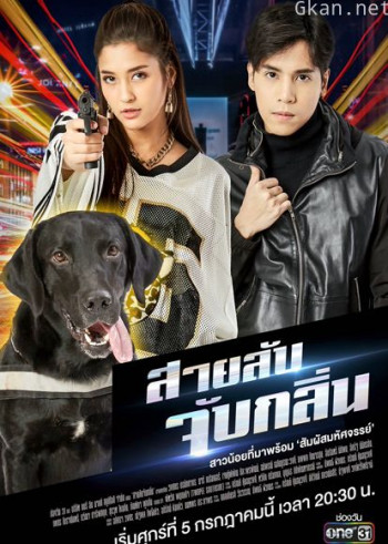 侦探k9普通话版