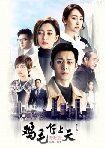 鸡毛飞上天dvd版