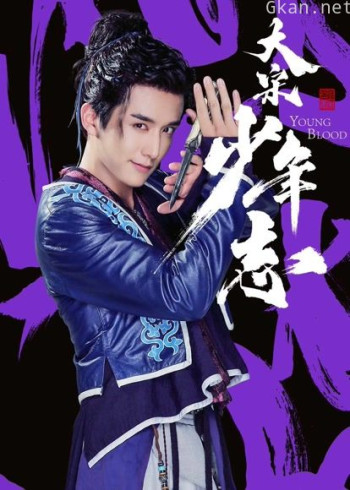 大宋少年志dvd版