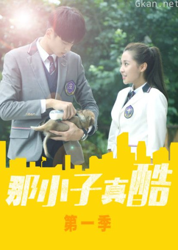 那小子真酷 第一季