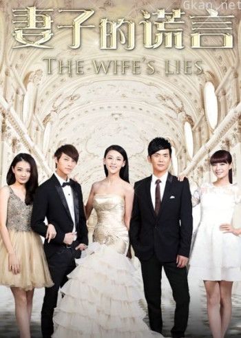 妻子的谎言dvd版