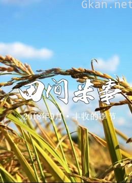 有家鲜米 | 田间米事