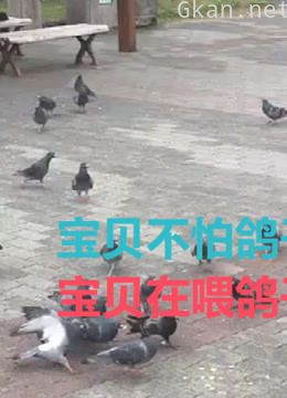 日常有趣小视频