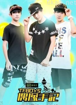 tfboys偶像手记