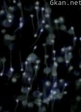 为什么我是这样的?